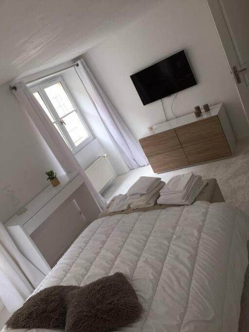 Au Coeur Du Touristique Appartement